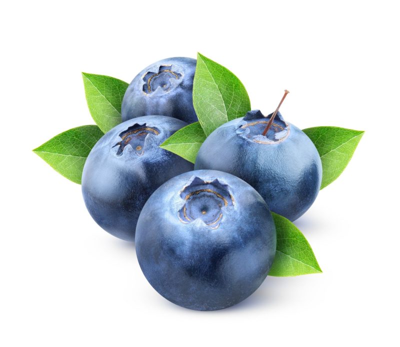 BlueberryExtra 1072c078 37e1 4a25 9597 bd63a82d8a50